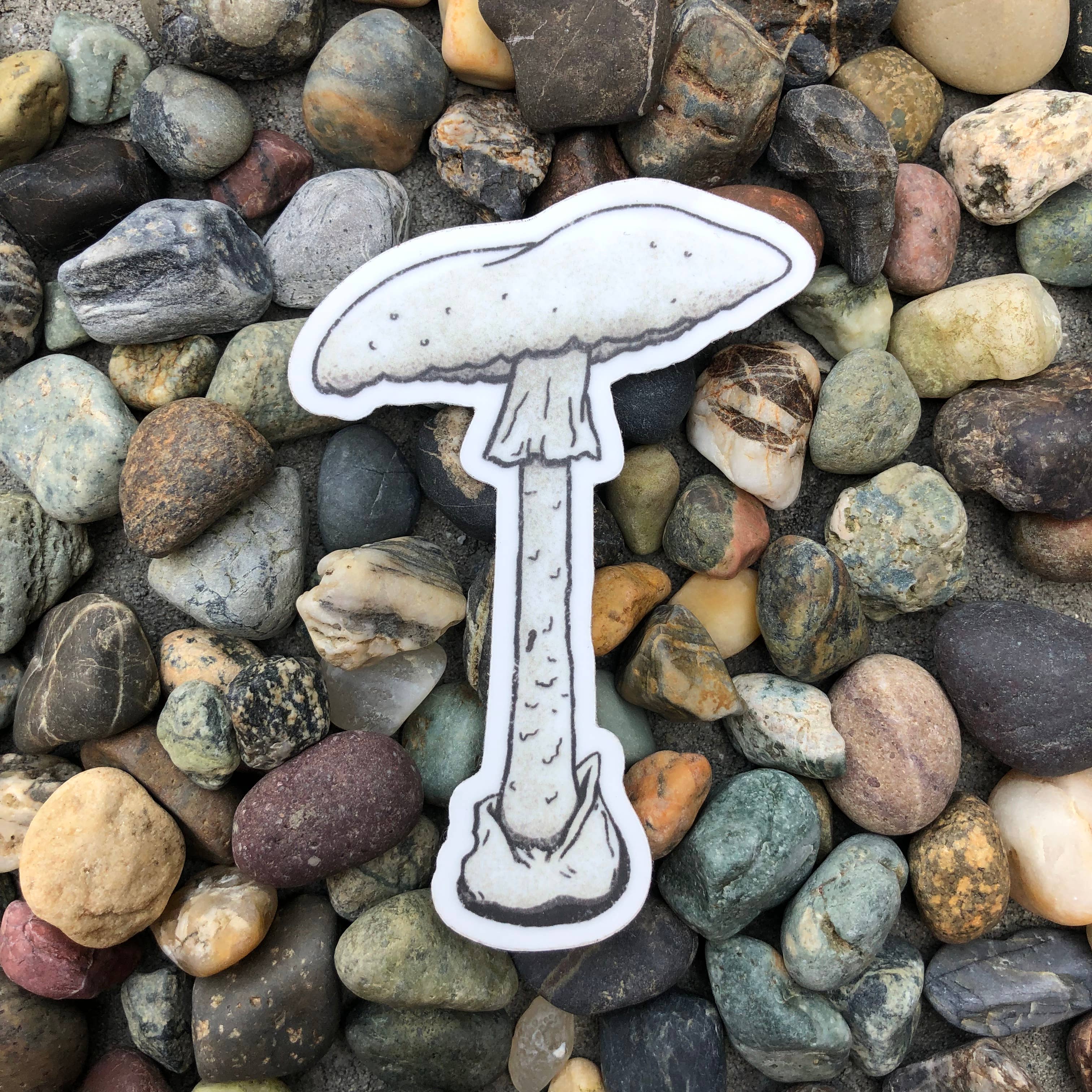 The Fungi Arcana - Vente Autocollant - Destroying Angel Mushroom - Autocollant en vinyle