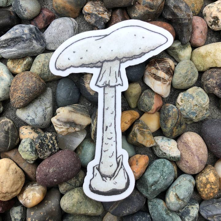 Destroying Angel Mushroom - Vinyl-Aufkleber für den Großhandel von The Fungi Arcana