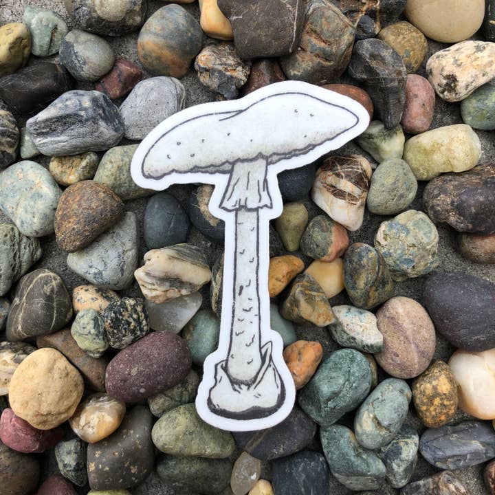 The Fungi Arcana - Wholesale Sticker - Destroying Angel Mushroom - Vinyl Sticker