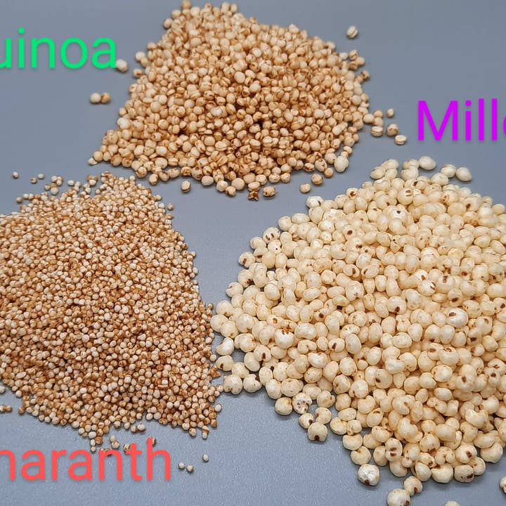 Paktli Foods - Wholesale Chocolate Covered Sweets - NEW Extra Dark Chocolate Alegria Bites+ Cranberries/Cashews4