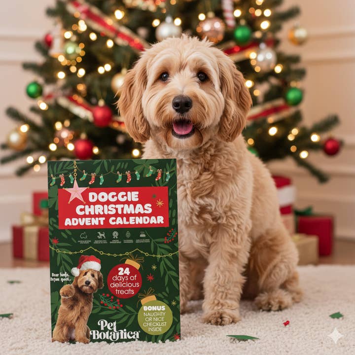 Christmas Advent Calendar for Dogs | Dog Advent Christmas and other Purchase Wholesale cardboard advent calendar. Free Returns & Net 60 Terms on Faire trending on Faire.