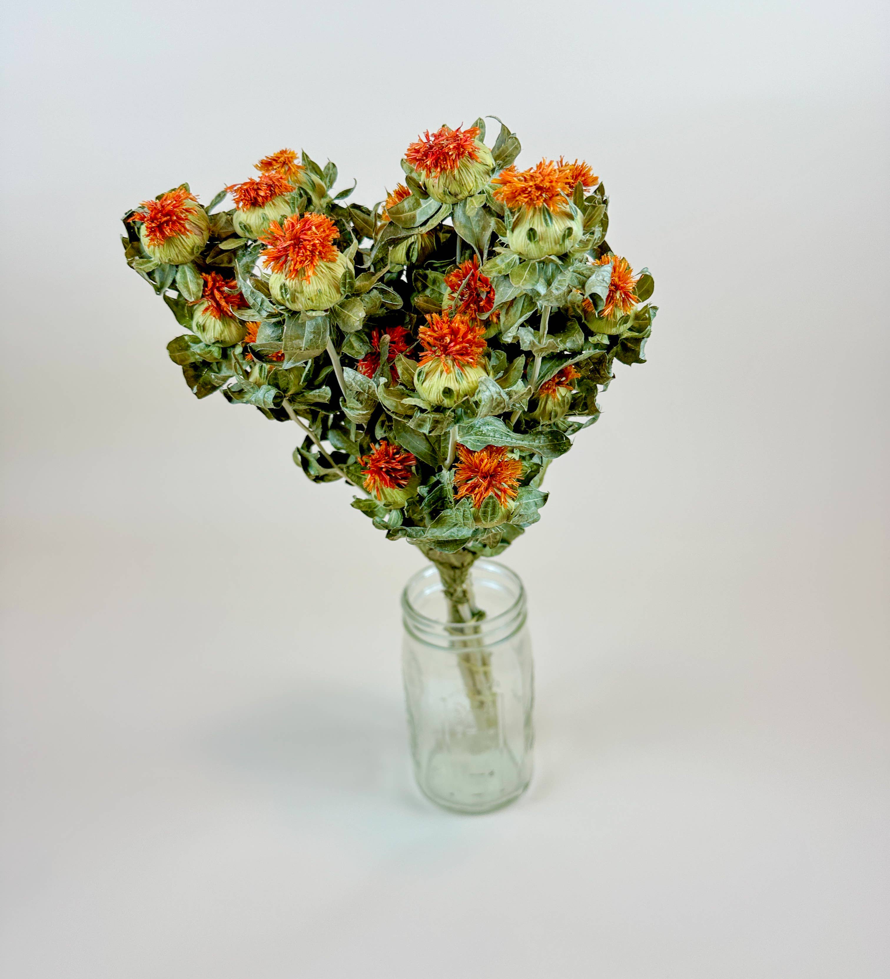 Lovejoy Farms Premium Dried Flowers – wholesale Dried/pressed flowers – Safflower - Orange Naturally Dried Flowers
