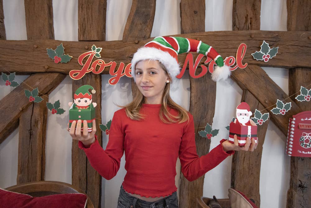 Tim&Puce Factory - Wholesale Christmas Decoration - SMALL SWEETY XMAS X4 BOXES3