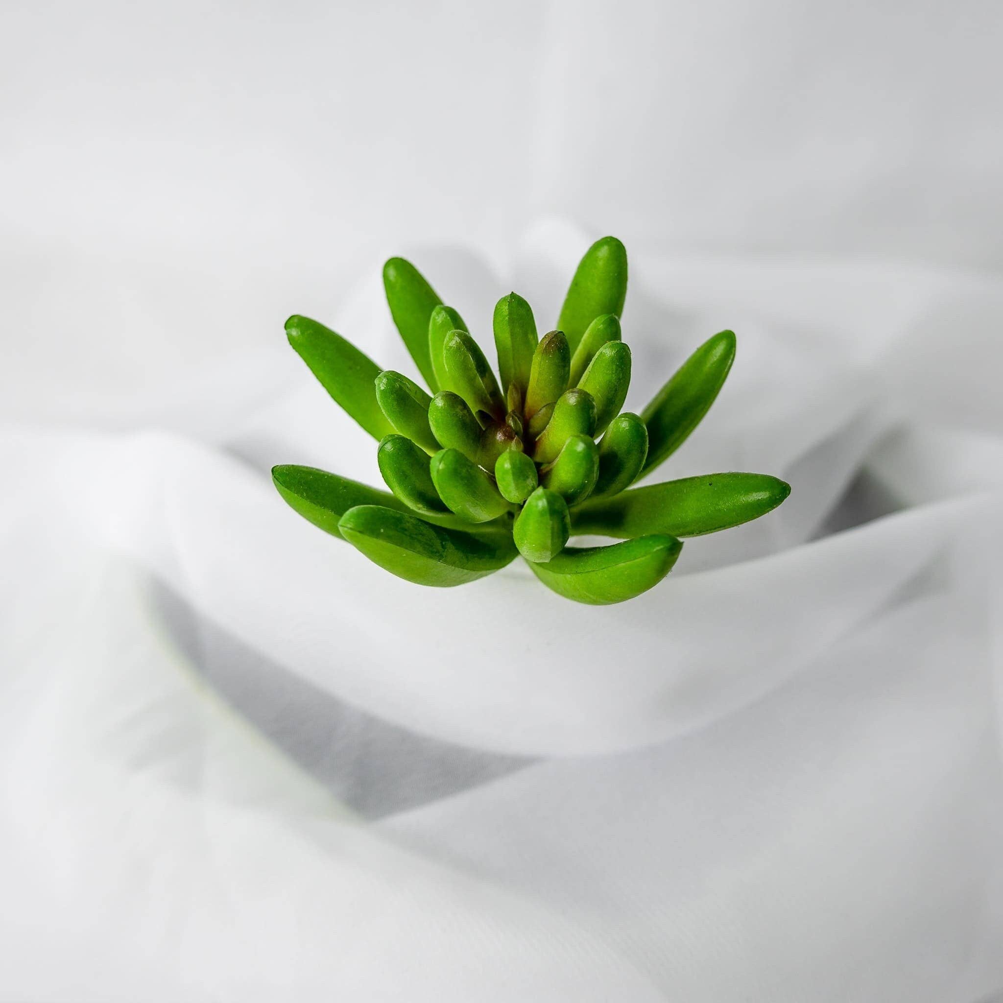 Realistic Artificial Flowers - Wholesale Artificial flowers - Claw Lotus Succulent - Realistic Artificial Flowers and Greenery2