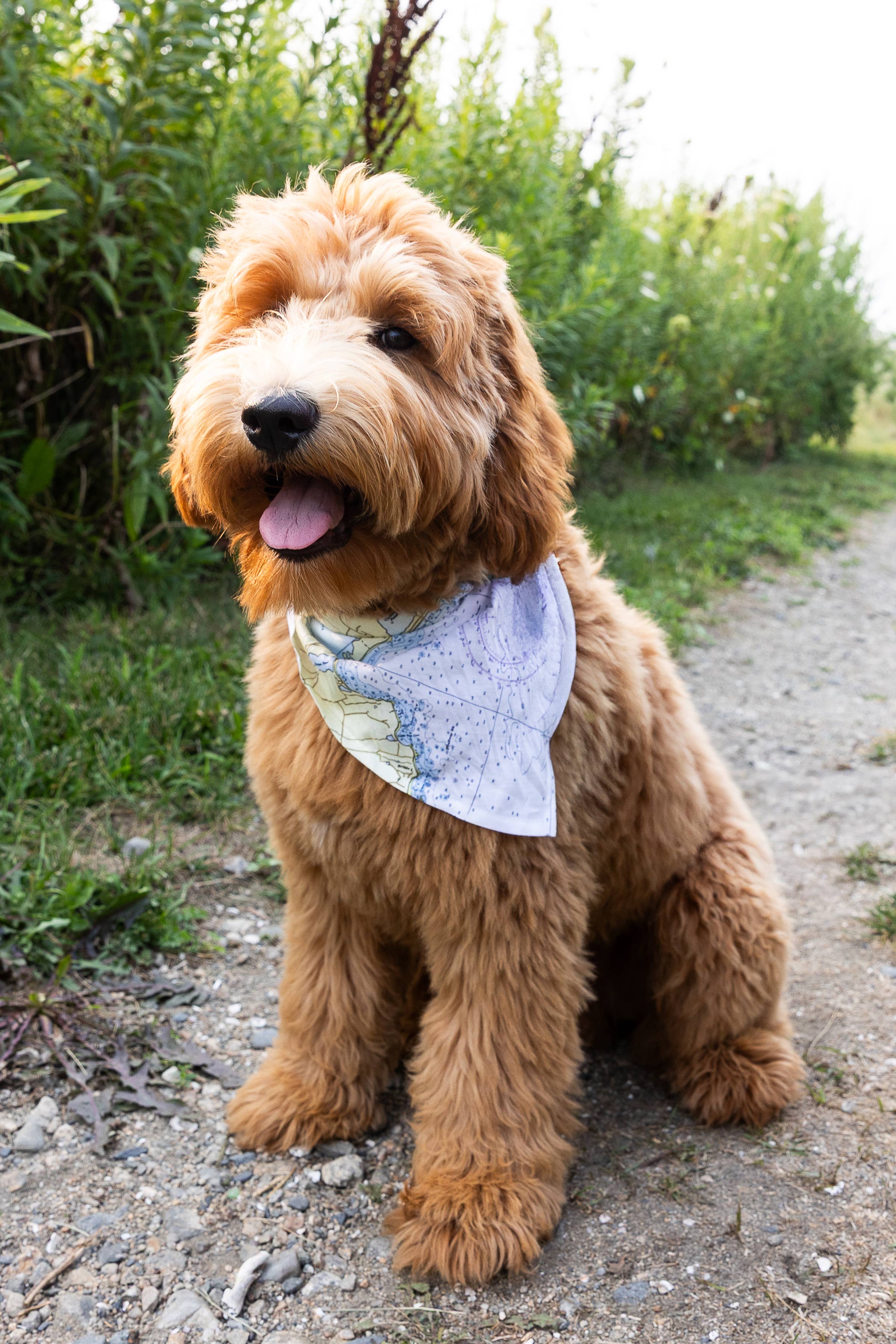 Maritime Tribes LLC - Wholesale Pet Bandana - Dog - Bandana  aka Dogdana -Doggie Bandana9
