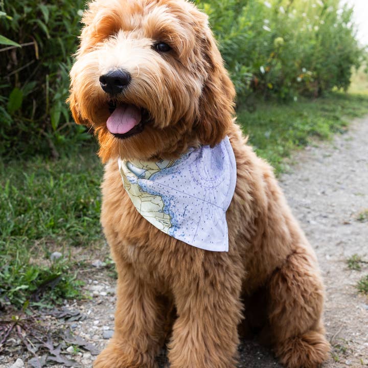 Maritime Tribes LLC - Wholesale Pet Bandana - Dog - Bandana aka Dogdana -Doggie Bandana9