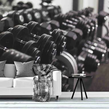 Jess Art Decoration - Wholesale Wallpaper - 3D Fitness Equipment Dumbbell Black Wall Mural Wallpaper YXL 11501