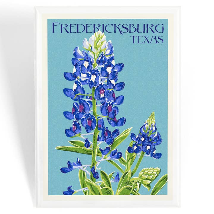 Lantern Press - Vente Aimants - MAGNET Fredericksburg, Texas, Bluebonnet