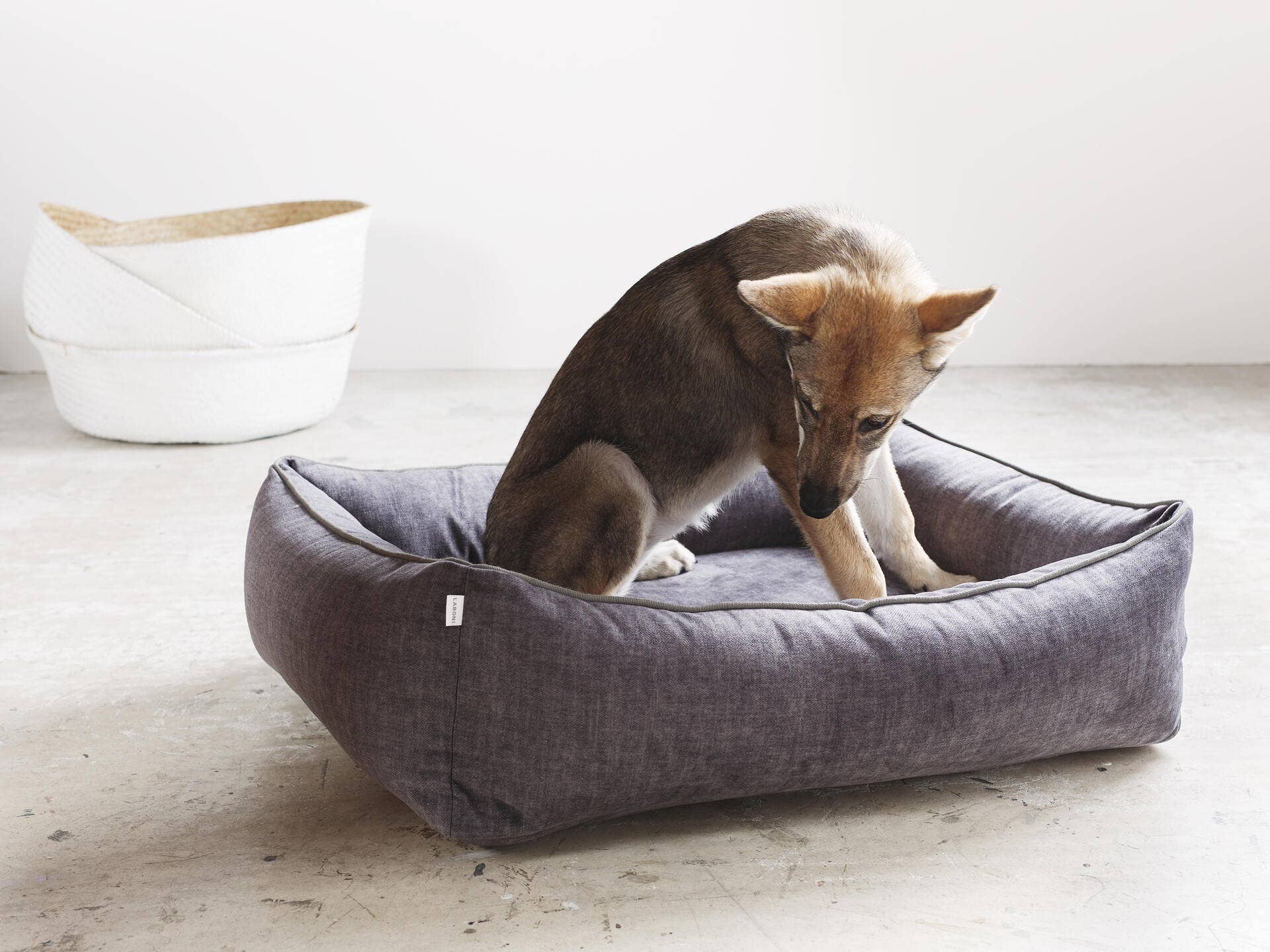 LABONI - Volentis GmbH - Wholesale Pet Bed - Dog - ORTHO PET BED GLAM23