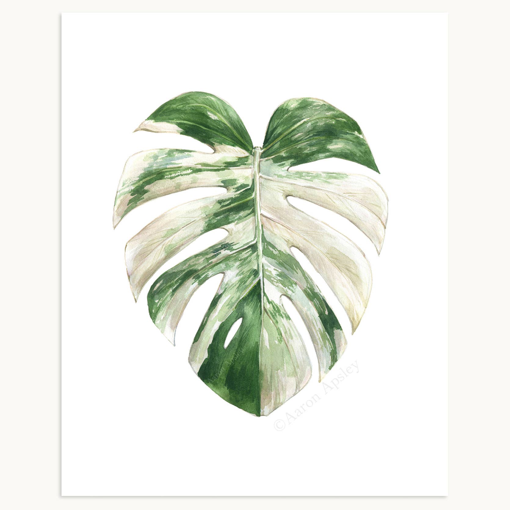 Aaron Apsley Artwork - Wholesale Art Print - Tropical Leaf Print - 8"x10"0