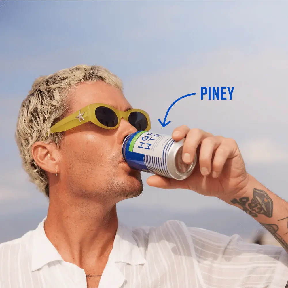 HOPWTR - Wholesale Sparkling Water - HOPWTR - Classic Sparkling Hop Water (12-Pack)3