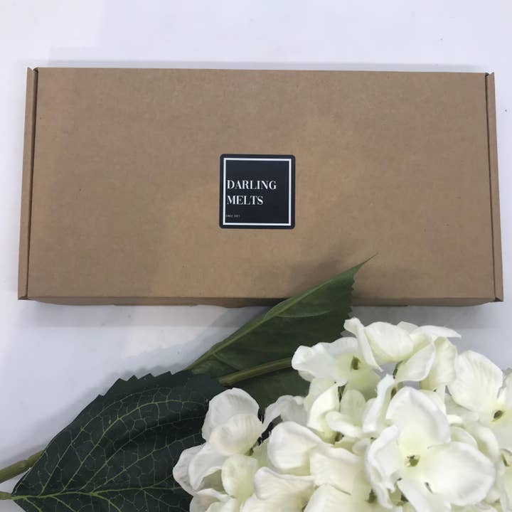 Darling Melts – wholesale Wax melt – Designer Inspired Wax Scented Sample Boxes1