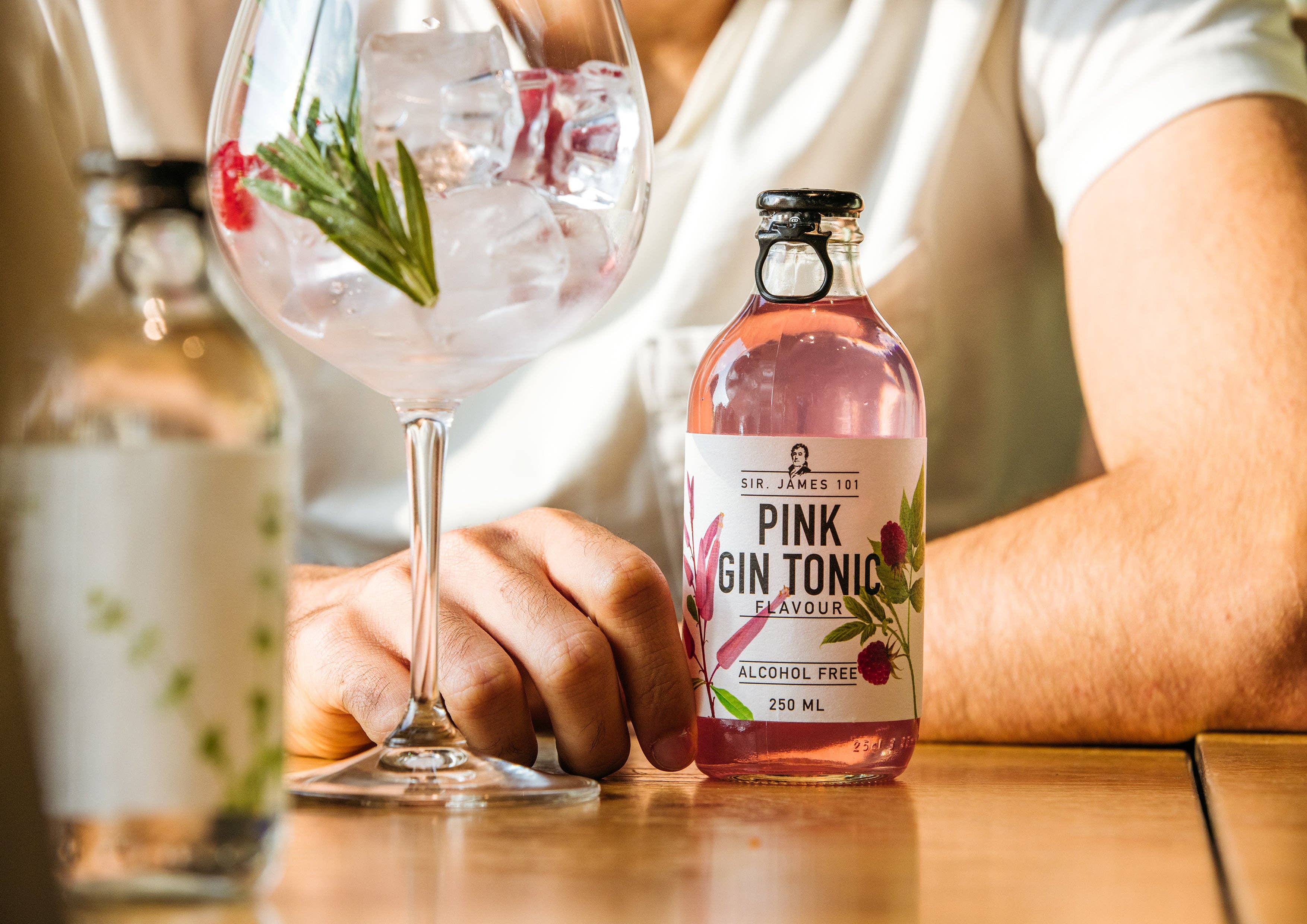 SureShot - Vendita all'ingrosso Aperitivo/Cocktail analcolico - SureShot Sir James Pink Gin Tonic 0% - 250 ml2