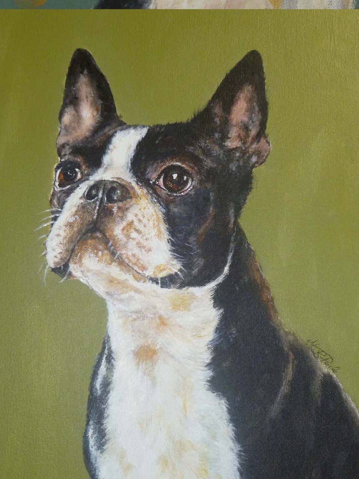 Custom Pet Portrait, Boston Terrier, Acrylic on Canvas for wholesale by BazaarZauber
