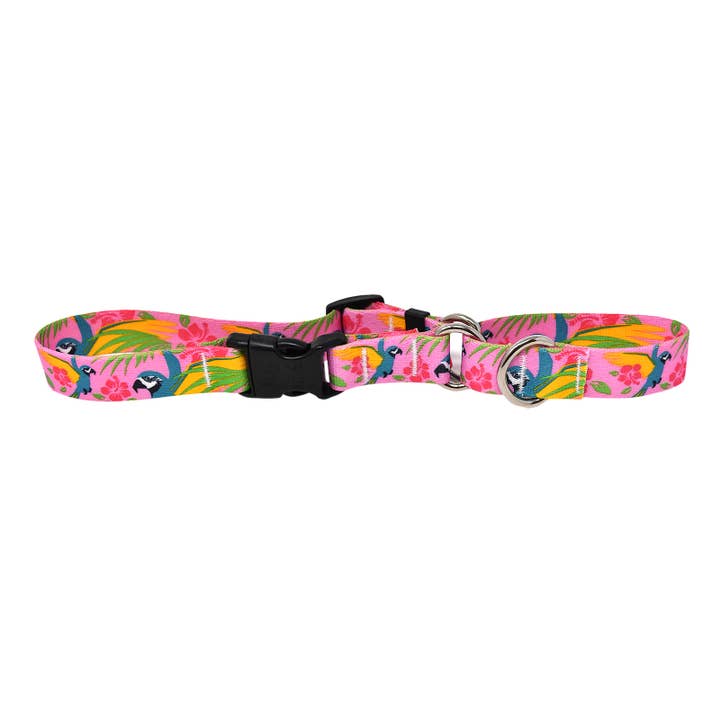Martingale rose Ara avec clip pour la vente par Yellow Dog Design