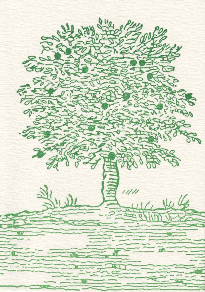 Saturn Press - Vente Assortiments de papeterie/cartes - Arbre fruitier0