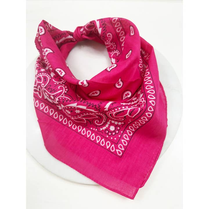 FUCHSIA Pasley Pattern Bandanas for wholesale by Love and Repeat