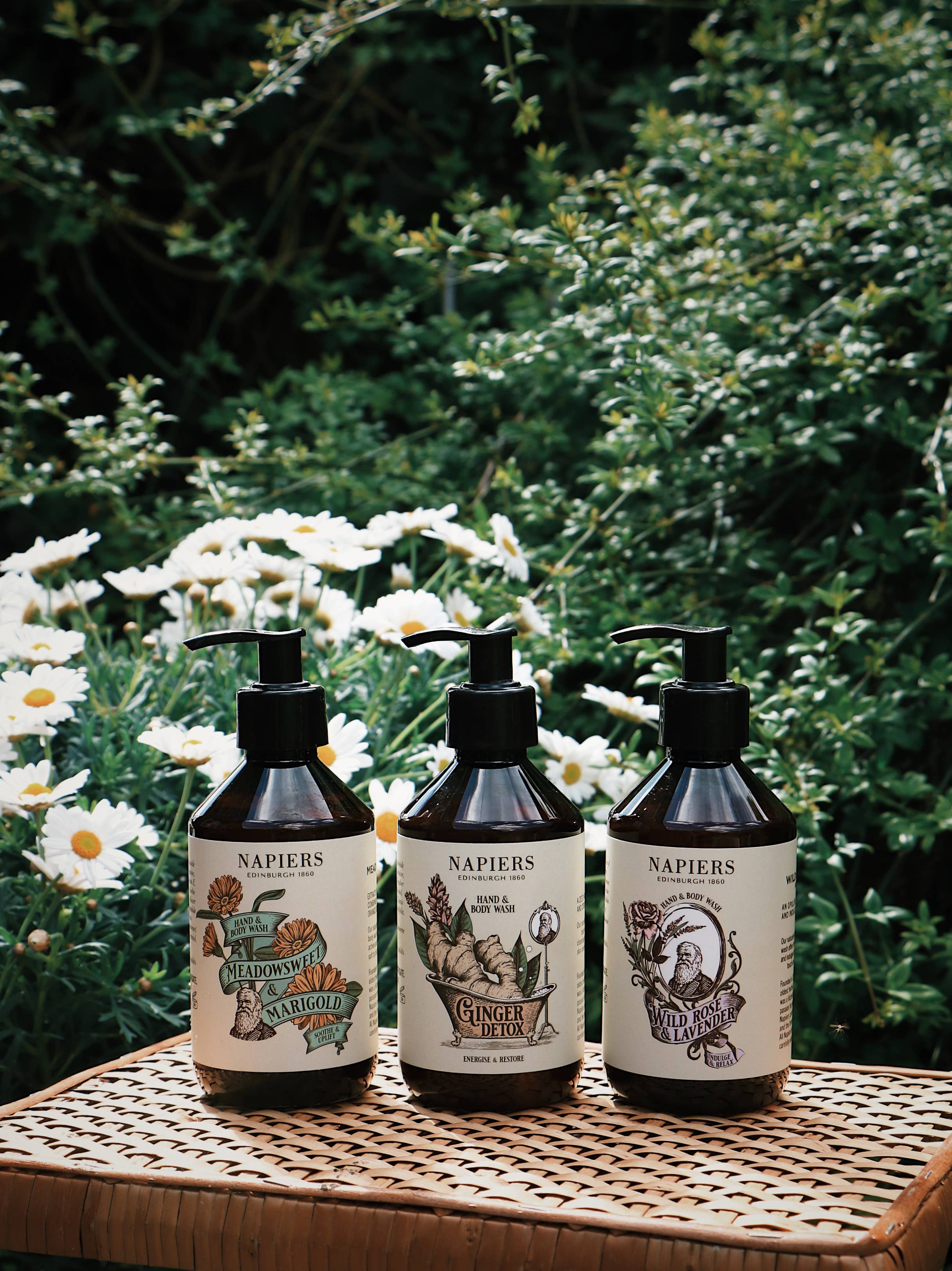 Napiers - Wholesale Hand Soap/Wash - Napiers Wild Rose & Lavender Hand and Body Wash3