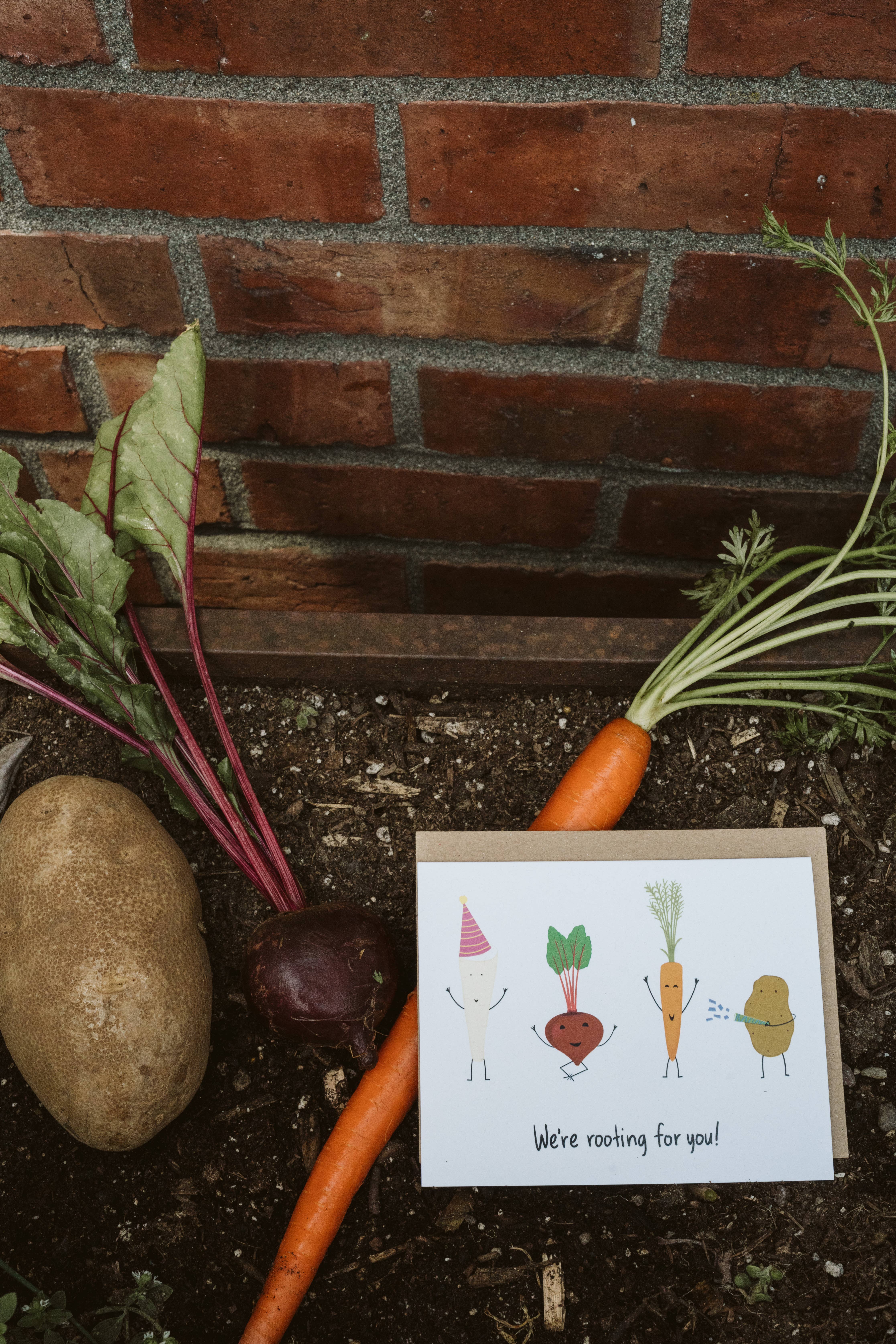 Queen Fayzel – wholesale Uppmuntringskort – Söt Rotfruktsuppmuntringskort | A22