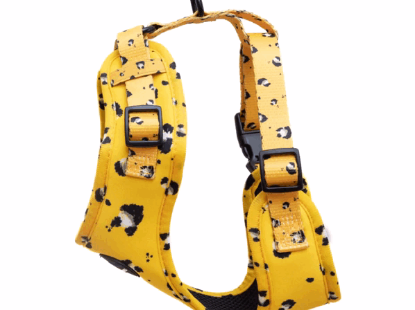 Long Paws - Wholesale Pet Harness - Dog - Funk The Dog Harness | Mustard Panda4