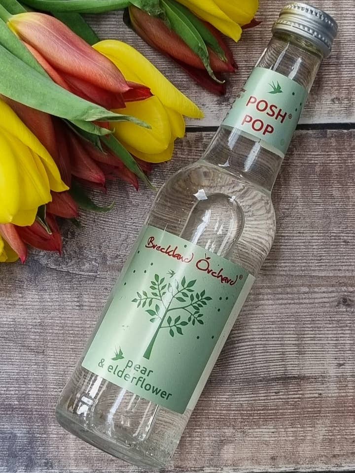 Pear and Elderflower Posh Pop 12 x275ml by Breckland Orchard for wholesale by Breckland Orchard