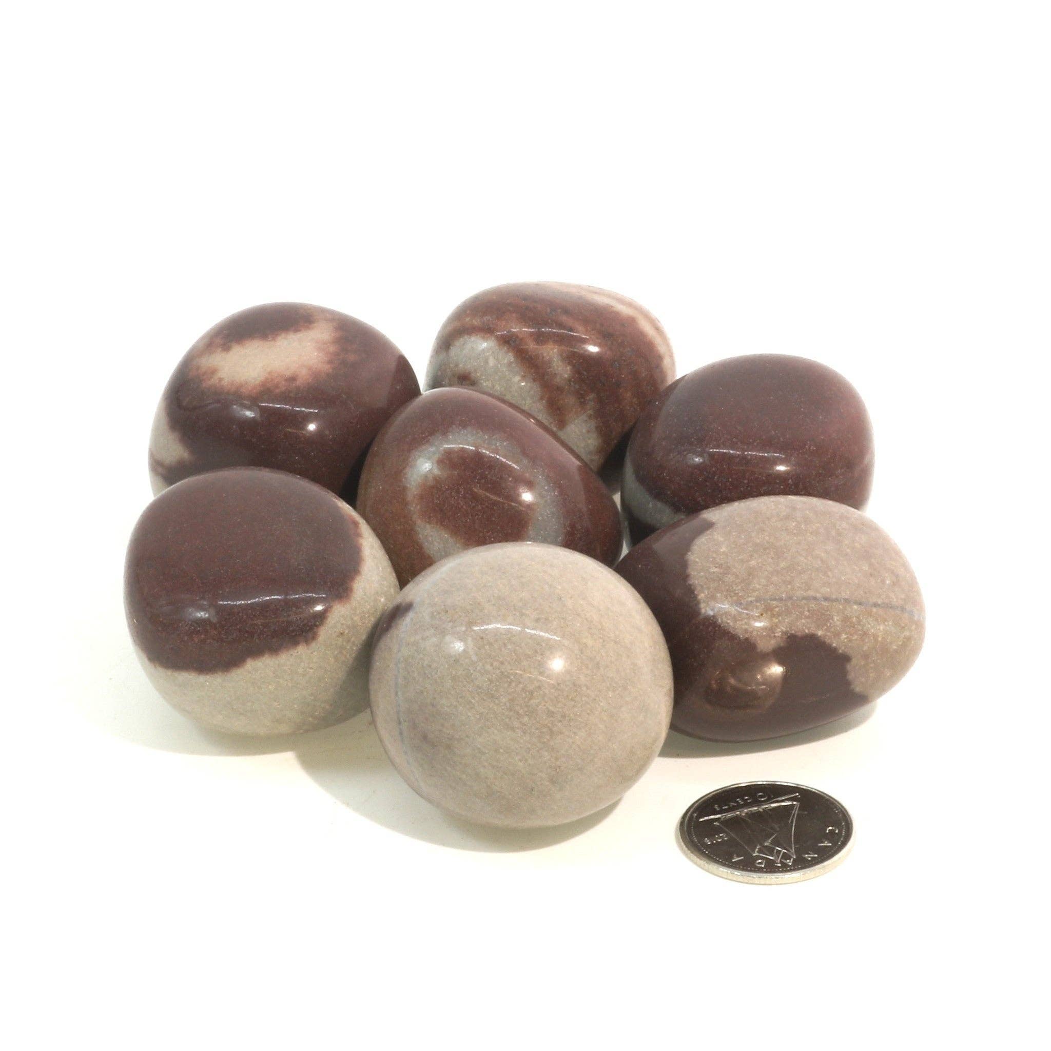 Stonebridge Imports - Vente Pierre et cristal de spiritualité - Pierre roulée de Shiva Lingam de la Narmada11