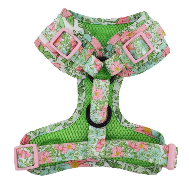 Pablo & Co. Boutique - Vente Harnais – chien - Harnais pour chien ajustable Flora & Fern2