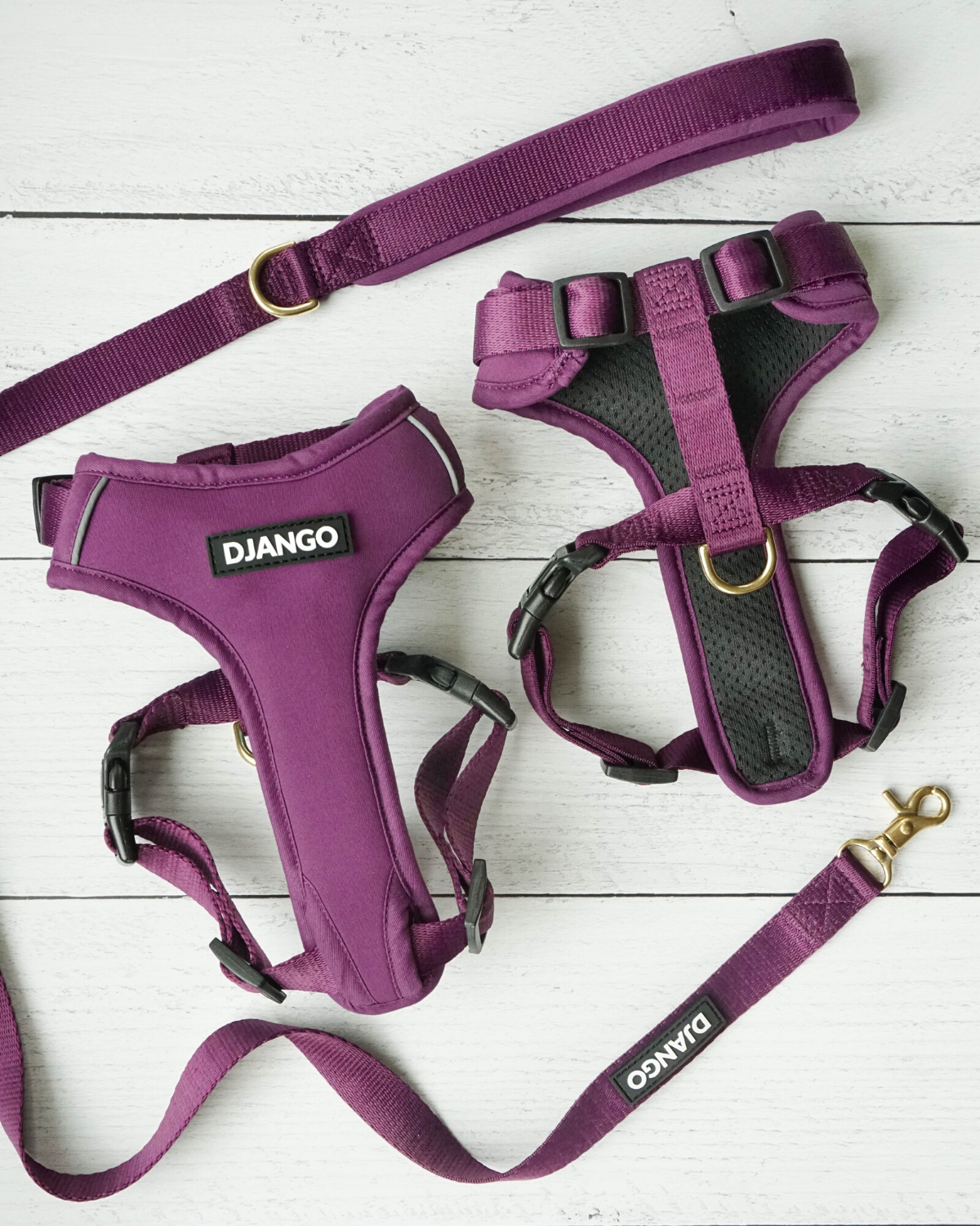 DJANGO - Wholesale Pet Harness - Dog - Adventure Dog Harness - Plum Purple7