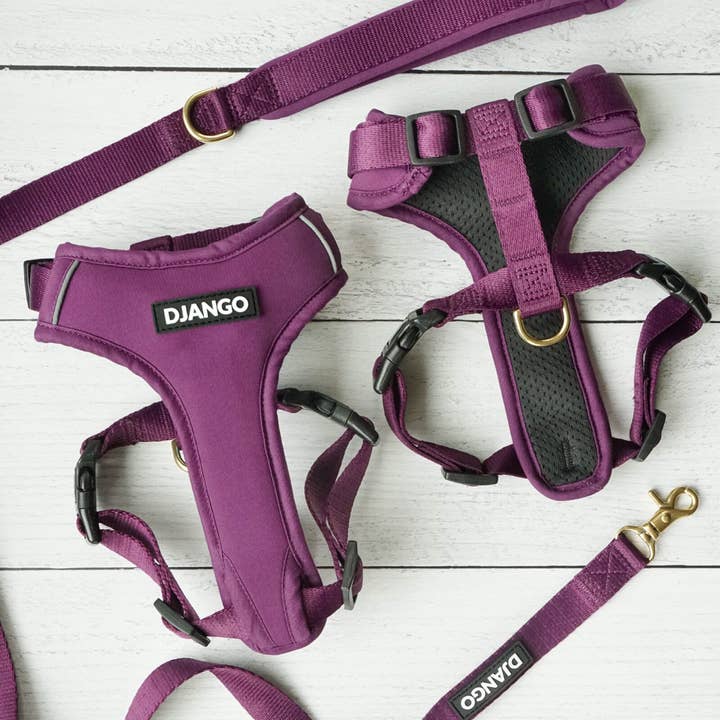 DJANGO - Wholesale Pet Harness - Dog - Adventure Dog Harness - Plum Purple7