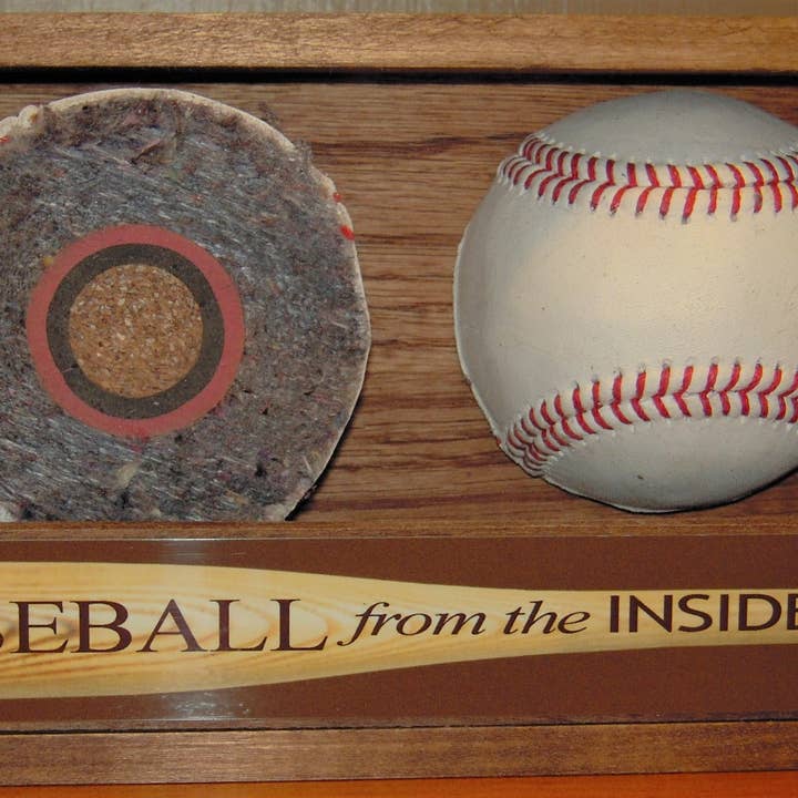 Baseball From the Inside Out - New for wholesale by K & P Weaver, LLC