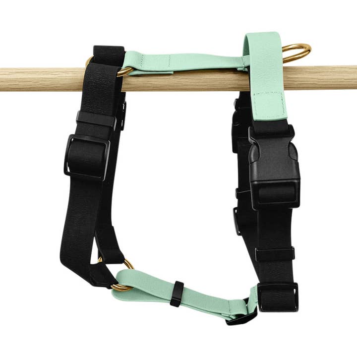 Peitoral Outdoor Ajustável em 5 Pontos - Preto/Menta por atacado de Hey Lana