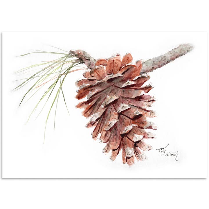 Loblollytallkotte för wholesale av Moonlight & Grace