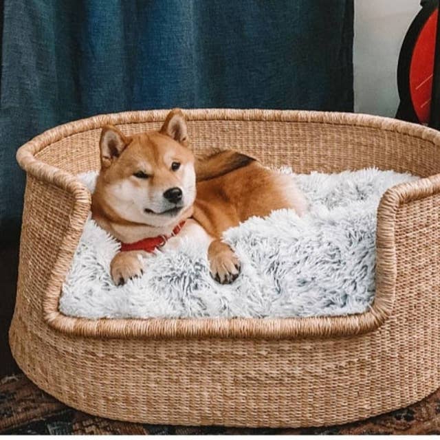 Personalized Dog Bed | Dog Bed Furniture | Dog House for wholesale by African Heritage LLC