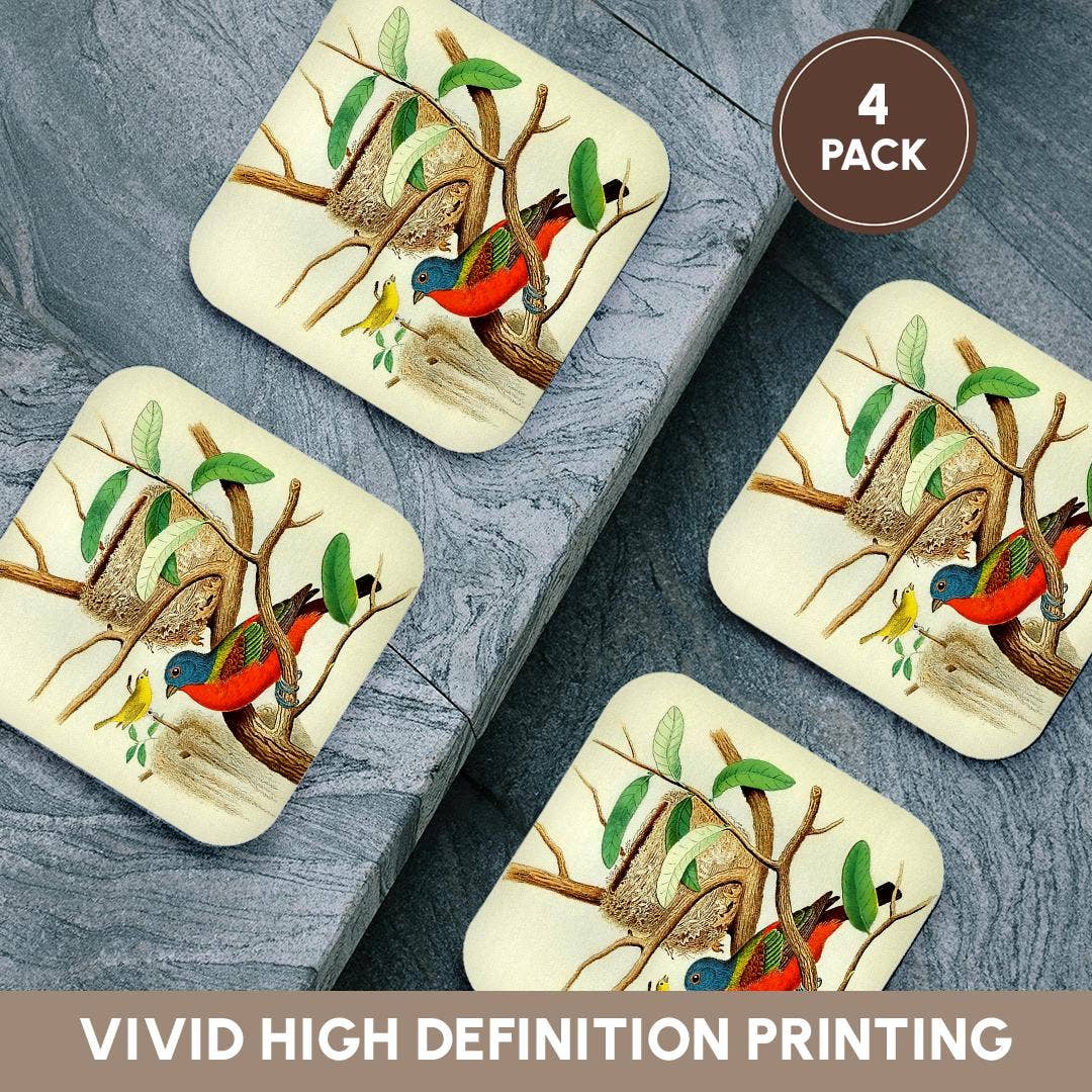 3dRose - Wholesale Coasters - 3dRose, Vintage Bird Print Painted Bunting Colorful Birds Art Illustration, Coaster12