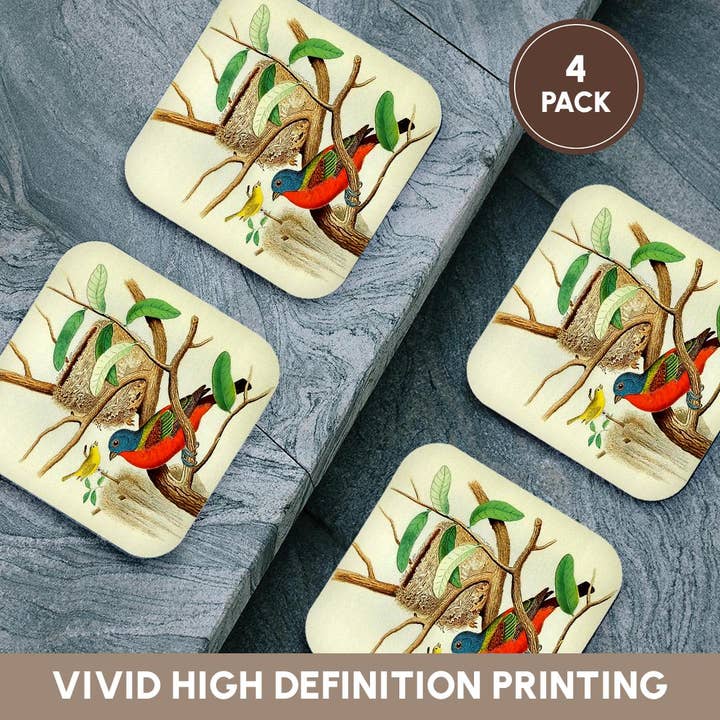 3dRose - Wholesale Coasters - 3dRose, Vintage Bird Print Painted Bunting Colorful Birds Art Illustration, Coaster12