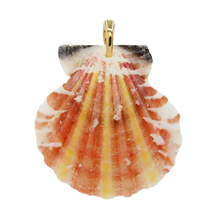 Shell Pendant - Size Medium for wholesale by Moliko LLC.