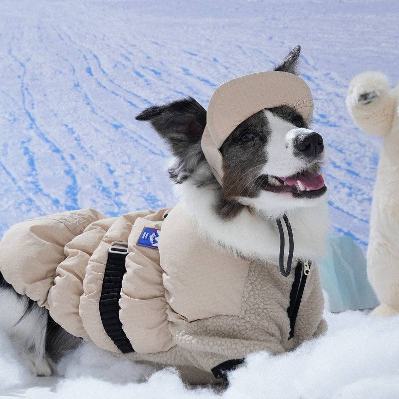 Puppy Gallery - Wholesale Pet Hat - Dog - Ear Cover Fleece Hat13