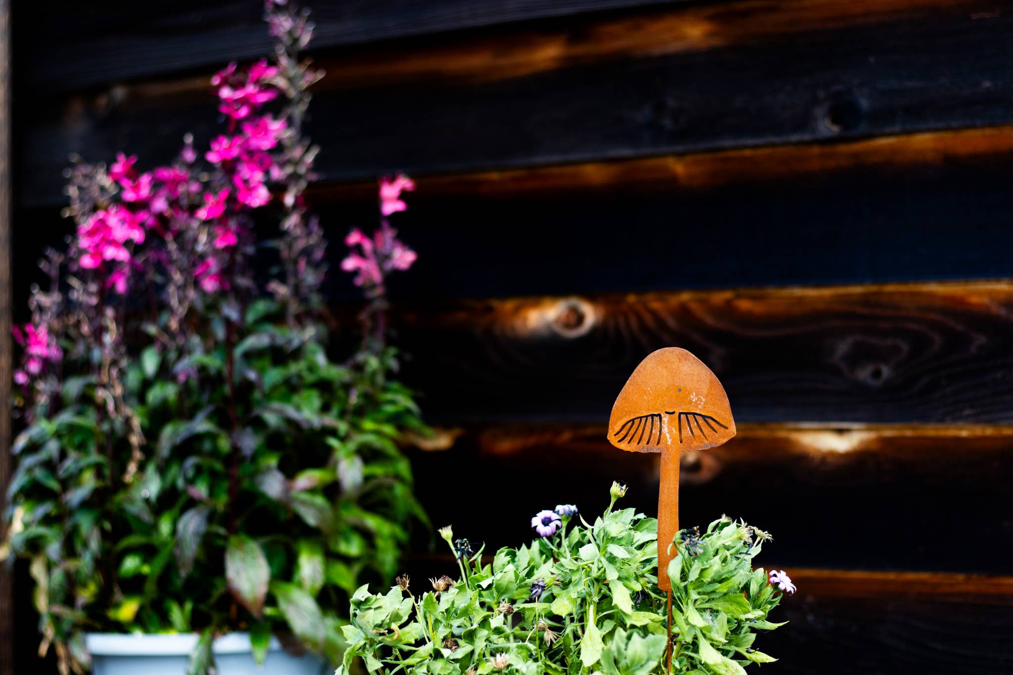 Elegant Garden Design - Vente Piquets de jardin/pelouse - Piques à champignons - Lot de cinq19