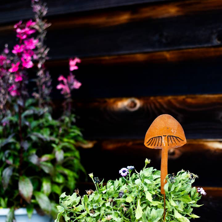 Elegant Garden Design - Vente Piquets de jardin/pelouse - Piques à champignons - Lot de cinq19