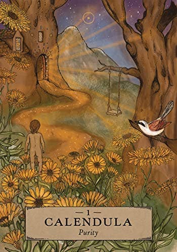 Cardshouse - Wholesale Tarot Cards - Herbal Astrology Oracle Cards Hay House4