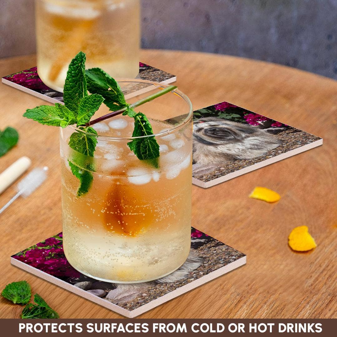 3dRose - Wholesale Coasters - 3dRose, Havanese sitting in front of flowers , Coaster2