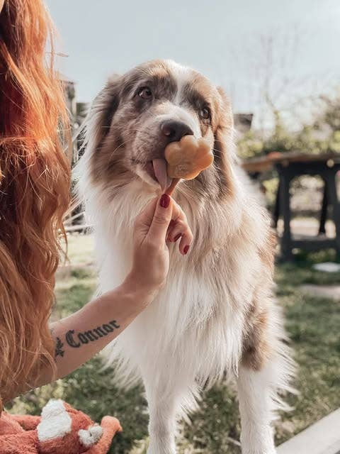 Smoofl - Wholesale Pet Treats - Dog - Peanut butter mix for dog ice6