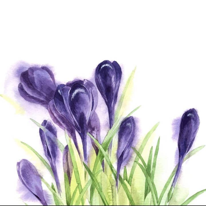 The Adorned Willows Marketplace LLC - Wholesale Tea Towel - Crocus Towel1