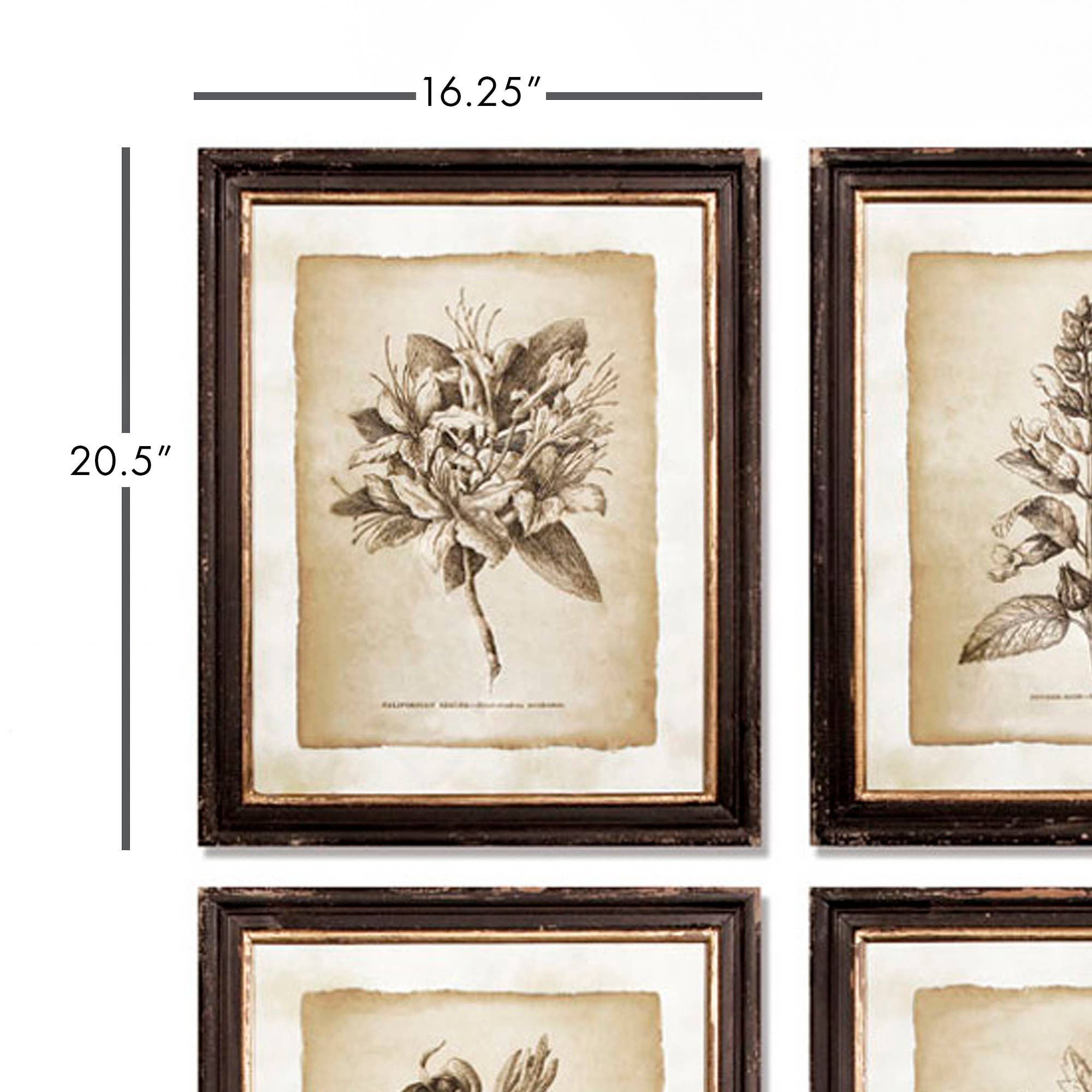 Napa Home & Garden - Wholesale Gallery Wall Set - Framed Vintage Floral Prints, Set Of 63
