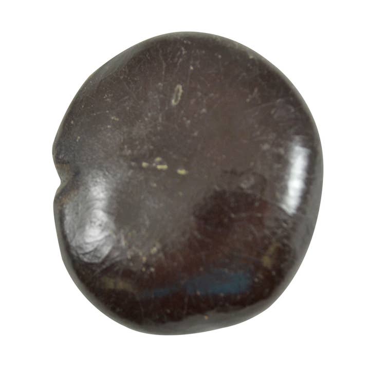 HS Seashells - Wholesale Decorative Tabletop Object - Sea Bean 1.5-2"0