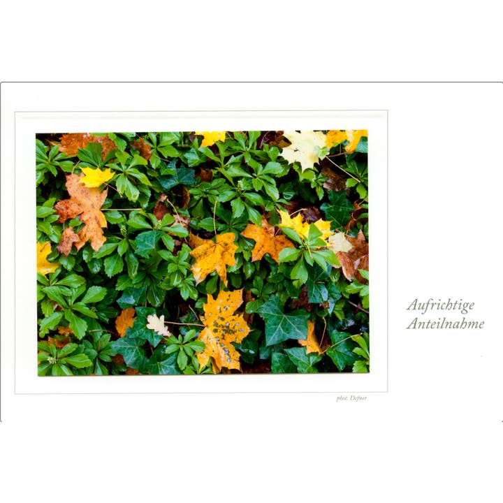 cartão de simpatia por atacado de Defner Photo Verlag seit 1919