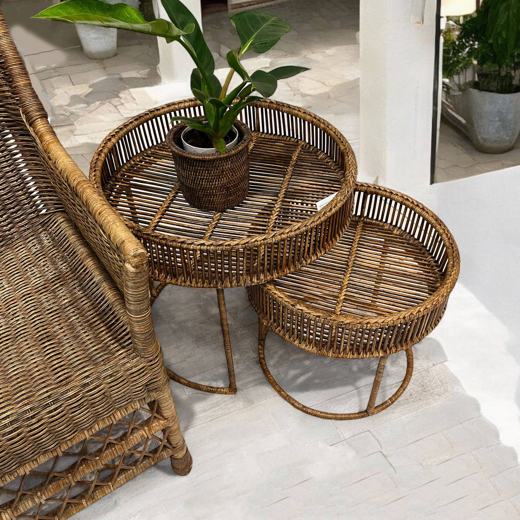 Matahari - Vente Chaises - Fauteuil de salle à manger élégant - AB 23x25x40"H1