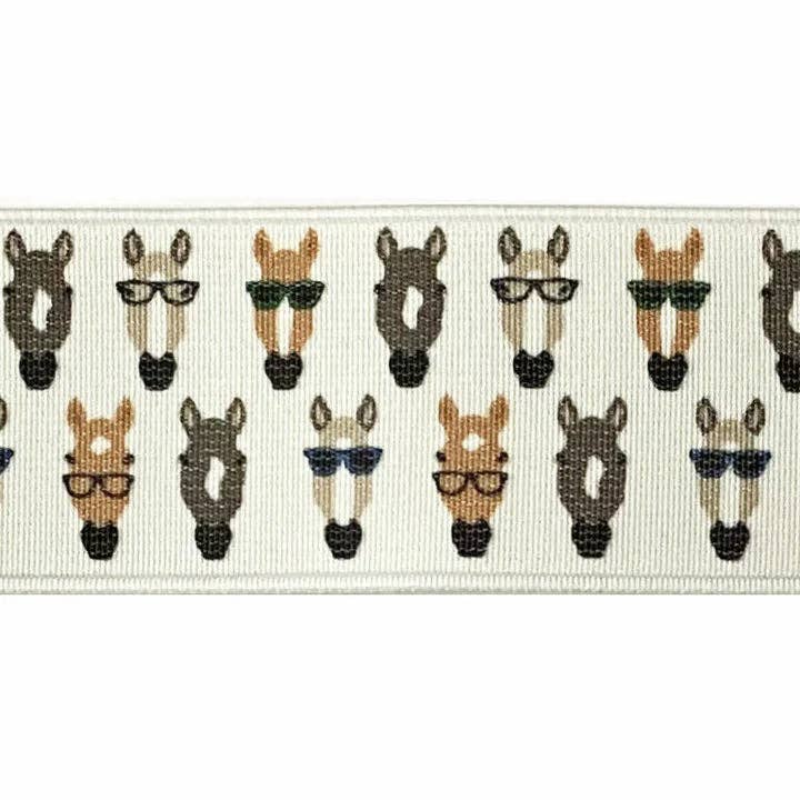 Kathryn Lily Equestrian - Wholesale Belt - Women's - Adjustable Elastic Blanket Belt20