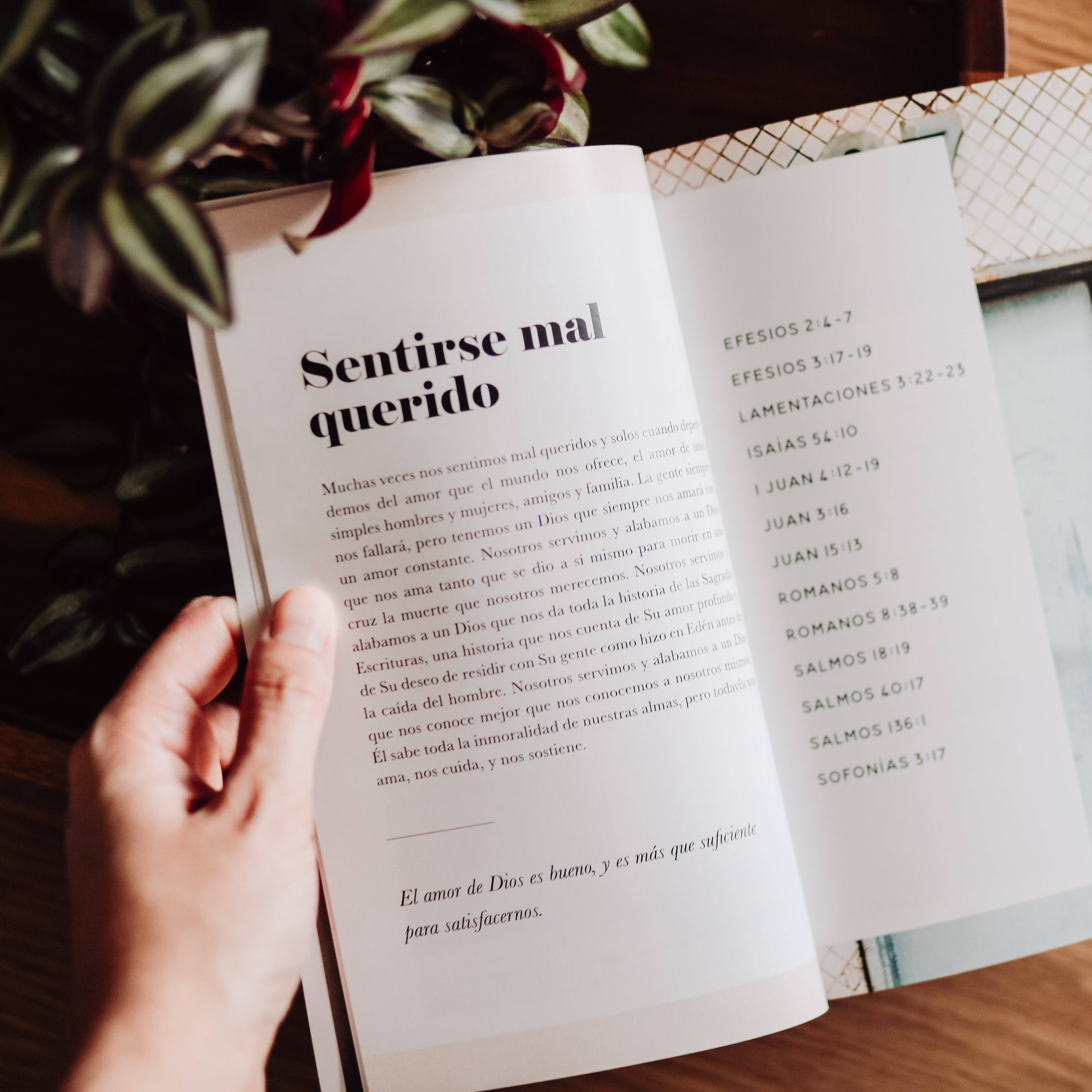 The Daily Grace Co - Wholesale Religion - La Verdad Diaria | Daily Truth - Spanish Edition1