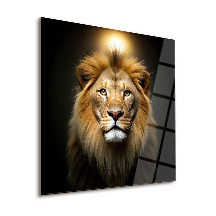 Coraje para venta al por mayor de NOXART LLC